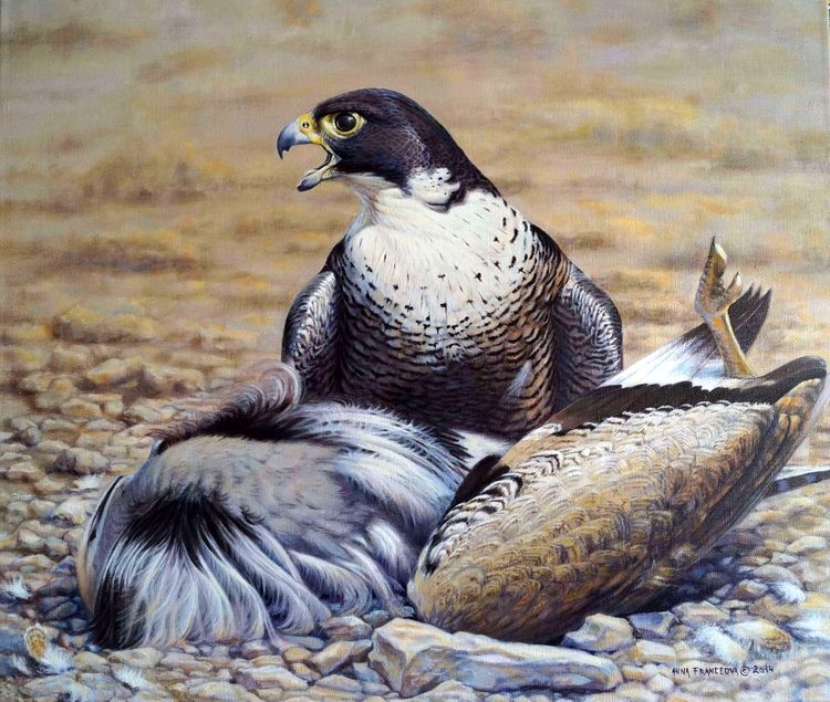 Successful hunter
